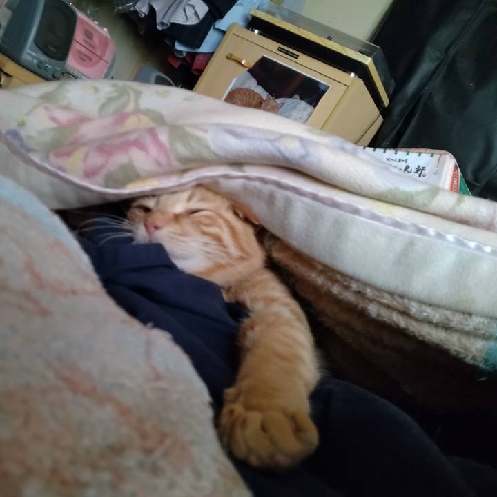 B7553b40 3c88 4b82 abac 82e71c34db89 1682115174872