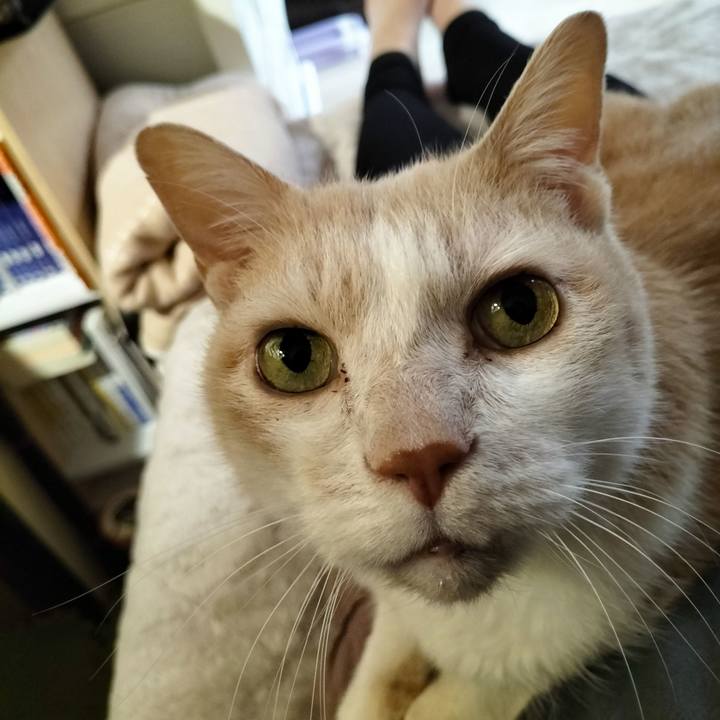 B7554434 7308 47c2 b098 17db4b4427d7 1673766554923