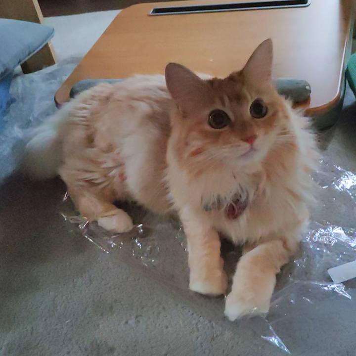 B755ac9e 164f 4810 b2cf d2fd7357261f 1658440324138