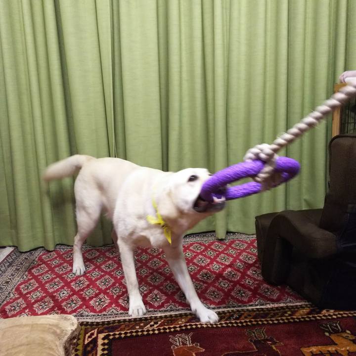 B755bb36 97a9 487b 99ff 20b8cf429acd 1520764598916