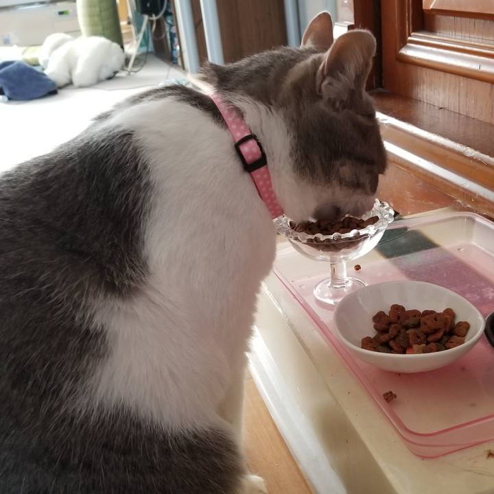 B755ea90 3dc5 4514 9d03 f885bbef0ef1 1555655223404