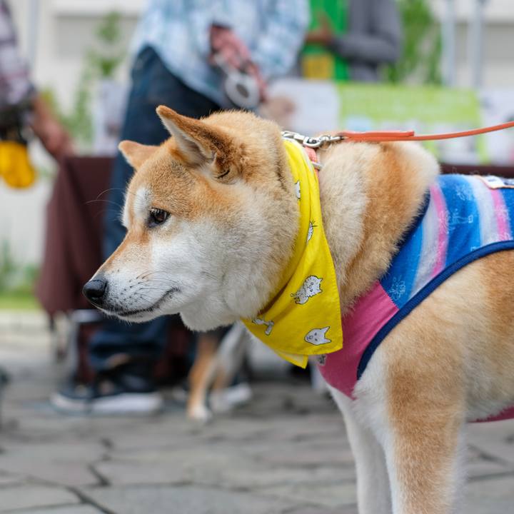 B75640a4 2e4e 452e 9eea 5053364dac05 1560329216077