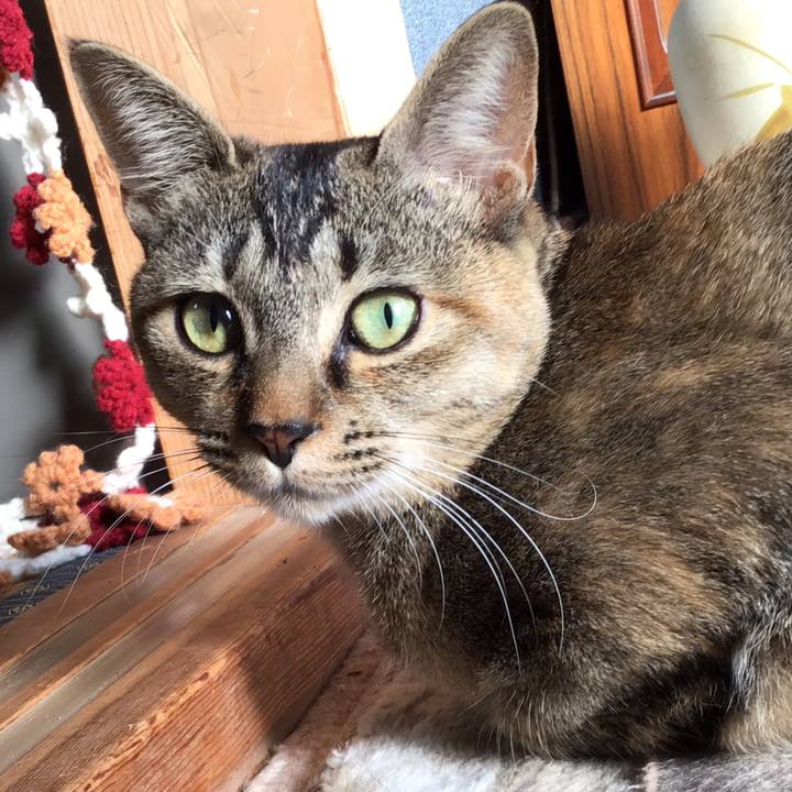 B7564176 6dd8 402a 85f0 0c498d6355dd 1577770771327