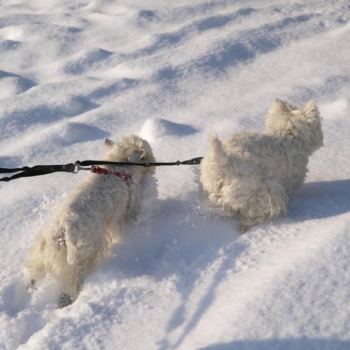 B756628a bfa8 486b bfe4 f78121243c0a 1516745954973