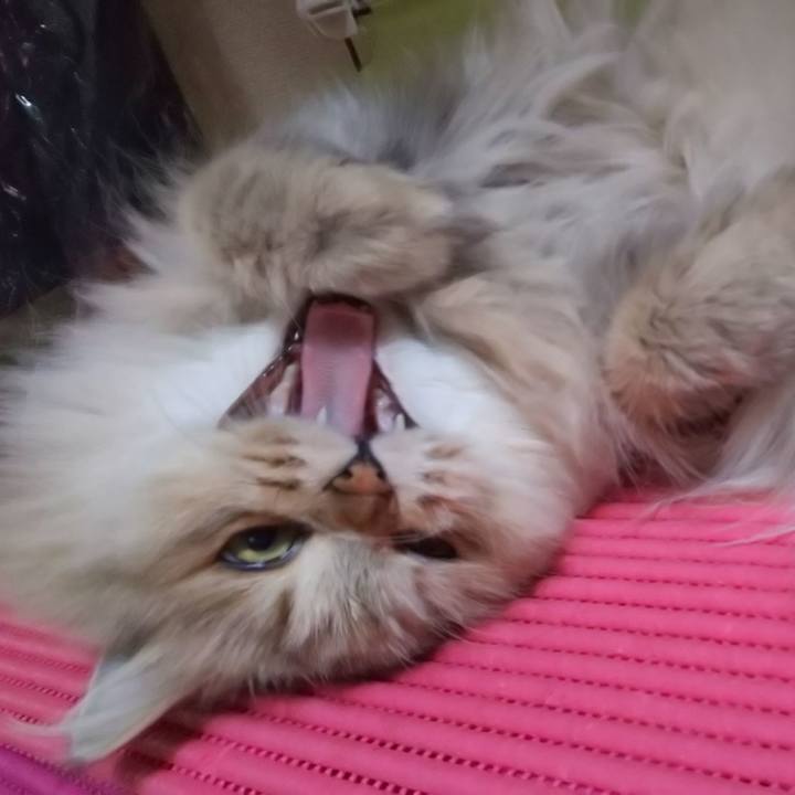 B7566aea 4da2 4ea6 a639 e0a4c506dad3 1600502676311