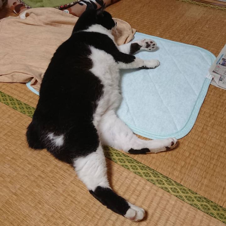 B75691b5 70f2 4900 9de3 1b8709b55957 1595302301524