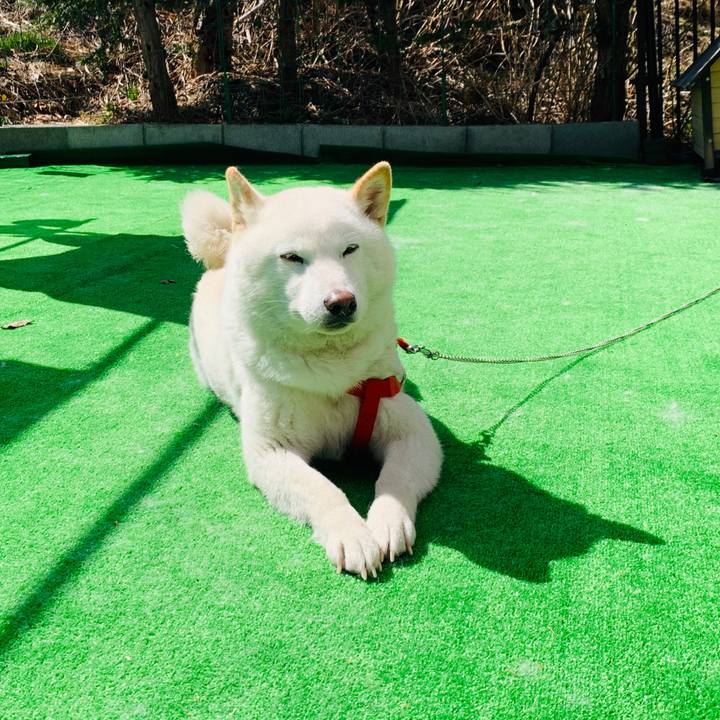 B75721db 8d4f 49a2 b997 67db902b13e1 1586848485964