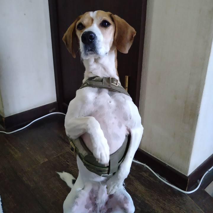 B7572334 d248 46b0 ada1 bf3aecf6297e 1672483735255