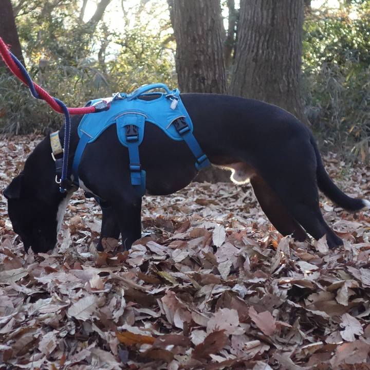 B7574093 7daa 47bd 8402 c288b4b9dfa9 1608683338381