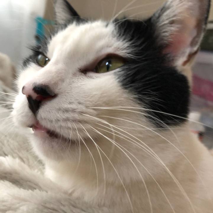 B7574720 8513 4805 8a8e 7b62fe3036a5 1549177918699