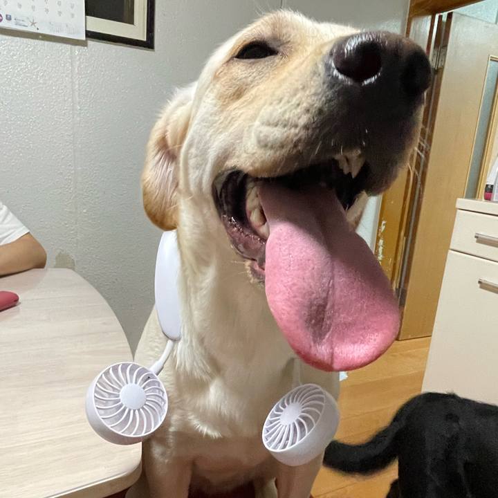 B757695e c9ac 4fe5 9fe6 a975cc959beb 1659184172629