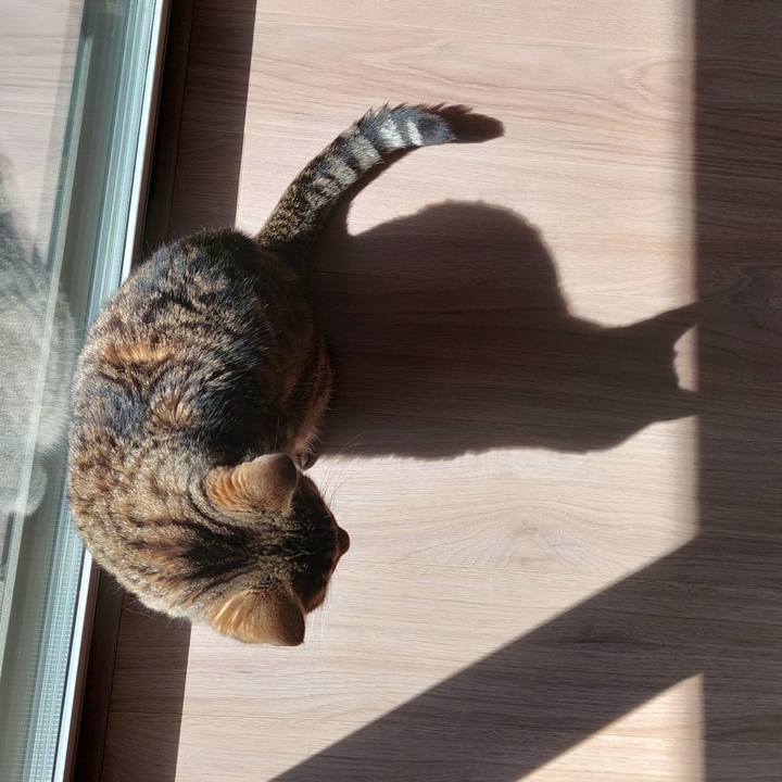 B7576dd5 224b 4f17 9ec3 5f2e2732ee3d 1696638535916