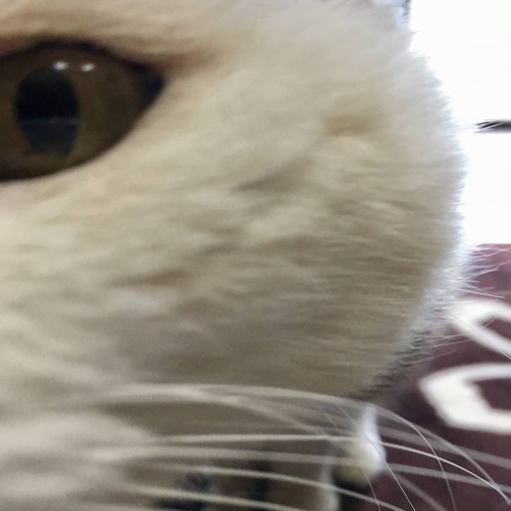 B75780eb c664 4cf9 bd04 80f0c86ed91f 1511443733806