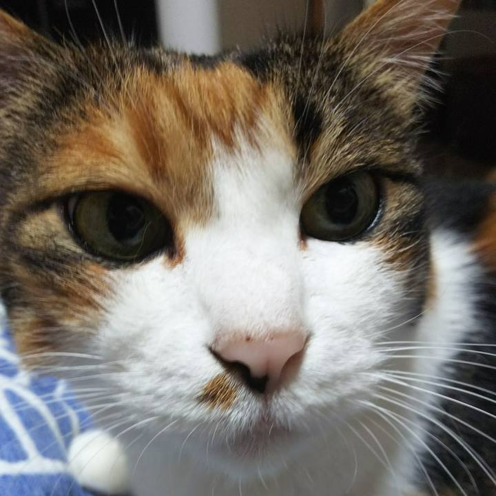 B757818f 54e8 428b a035 6ba67bdf7180 1533977612560