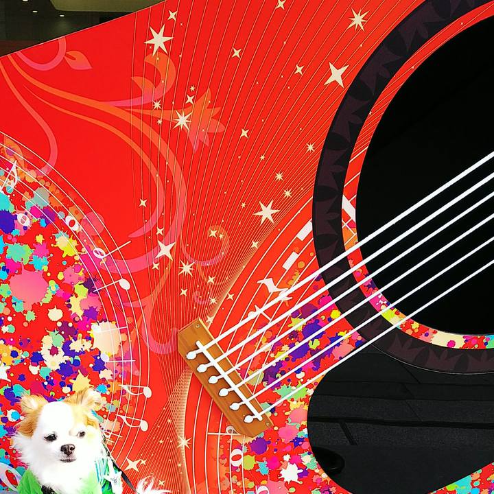 B7579c65 f619 44c2 9d4d 264a0493f96a 1528467362256