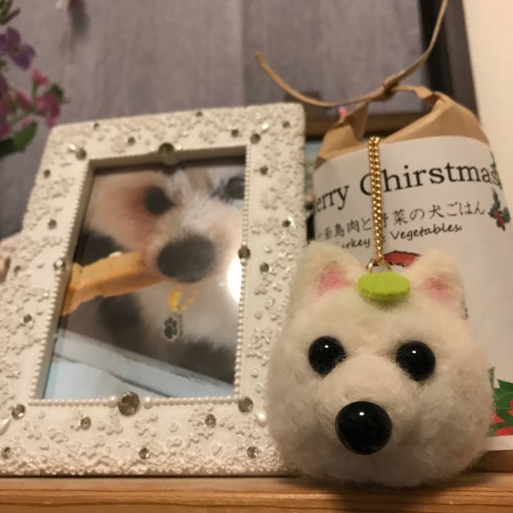 B757b167 2871 4363 b4e7 6a2ff658ff39 1545156849307