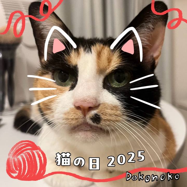 B757c41f 7142 4920 96ff 92f57b9d45f4 1740174337403