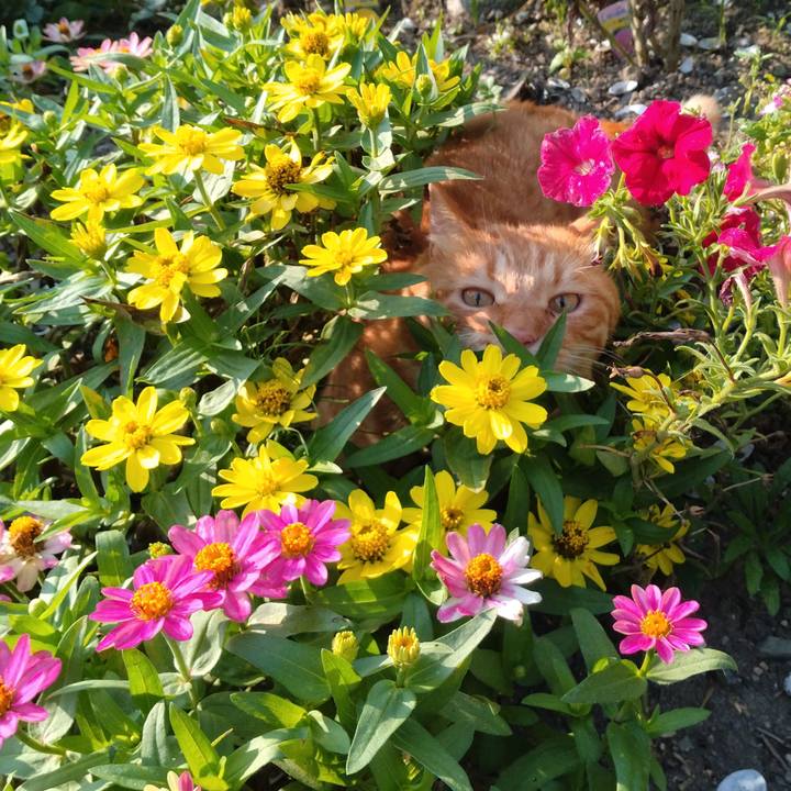 B757d129 9faf 4bf1 bff2 8272fae00102 1691276274525