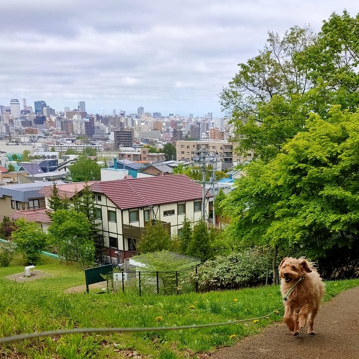 B758199b 81e7 4bf8 8650 5d7d51ab9073 1590648919761