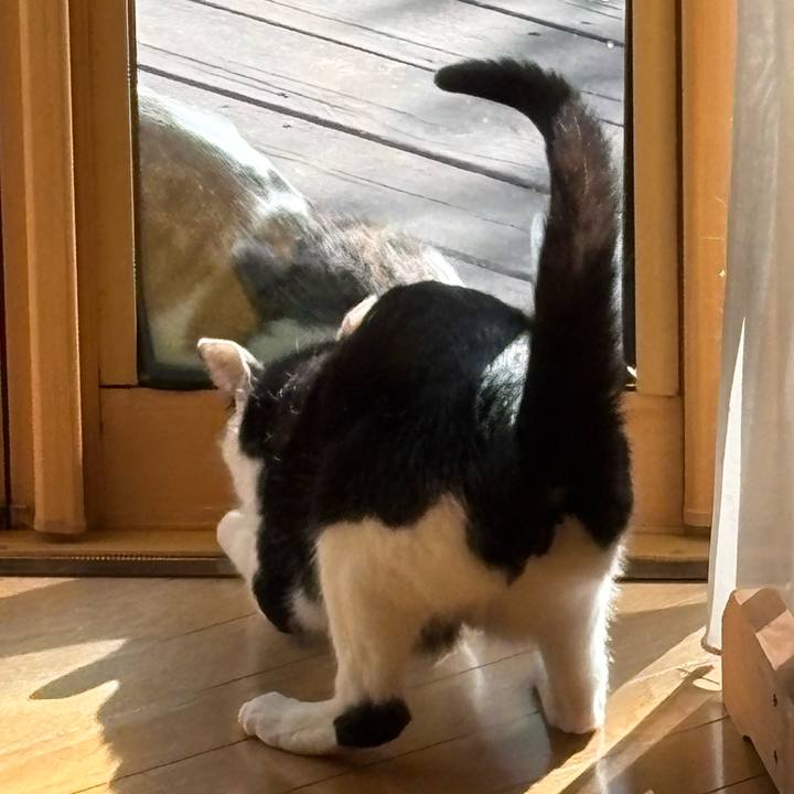 B7588ffa 076f 4ee3 b74b 7c4ac06c0aae 1771127336640