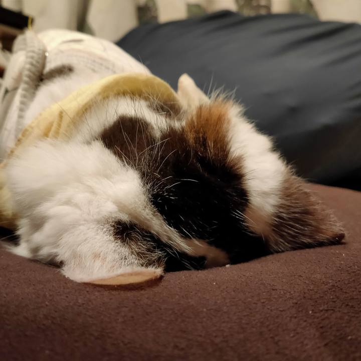 B7589a66 3cc7 40b1 855b a5bf10f9e75c 1607943819922