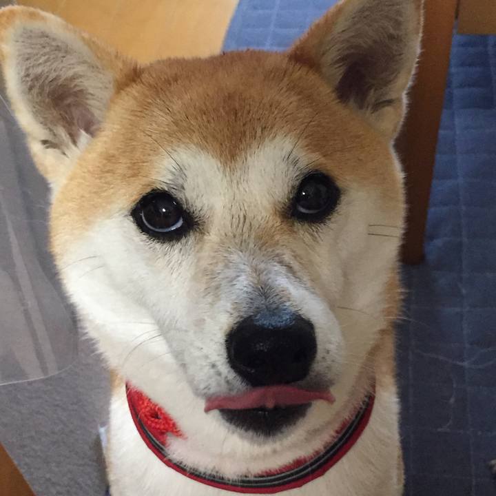 B758d14f 3db3 4698 8096 c73a59234391 1508661841946