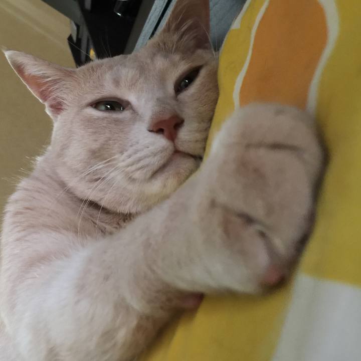 B759081c b6a6 4f43 9ff9 7358f35b348c 1580390606390