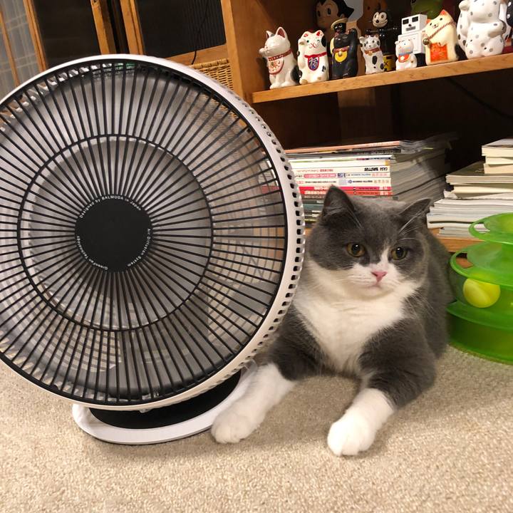 B75915db b7bc 4fa6 a9bd 4536357de2bf 1564807056515