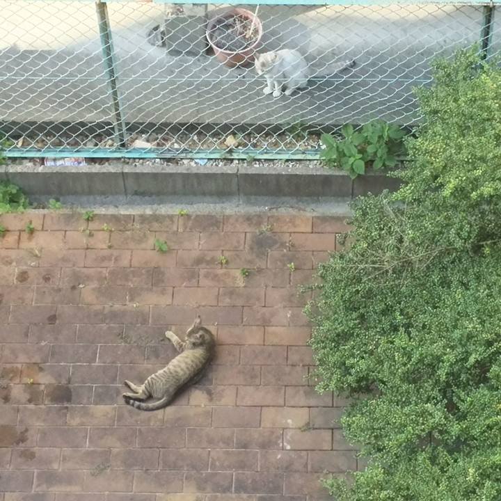 B7599627 bd03 4cb6 9e76 758b477ec9e6 1533083334269