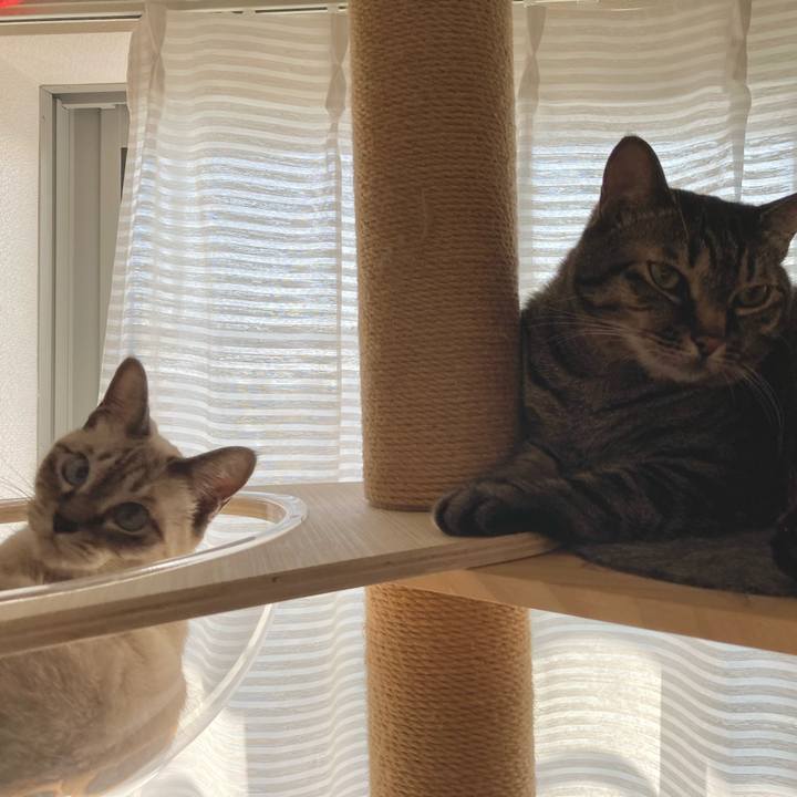 B759fd02 7a32 4670 8571 84f77afd3d87 1633476073325