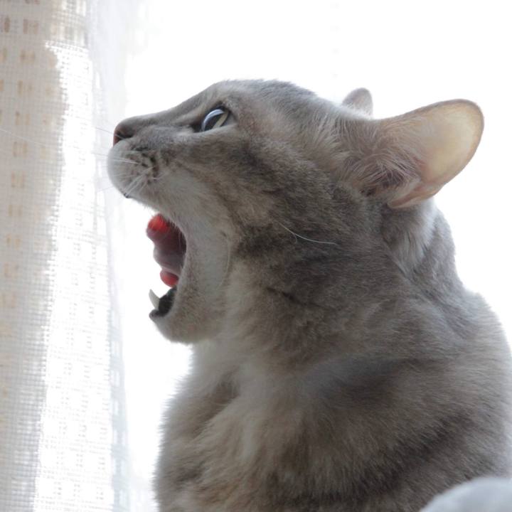 B75a23dd 6b86 4e70 91fc 6d8347063640 1575100759027