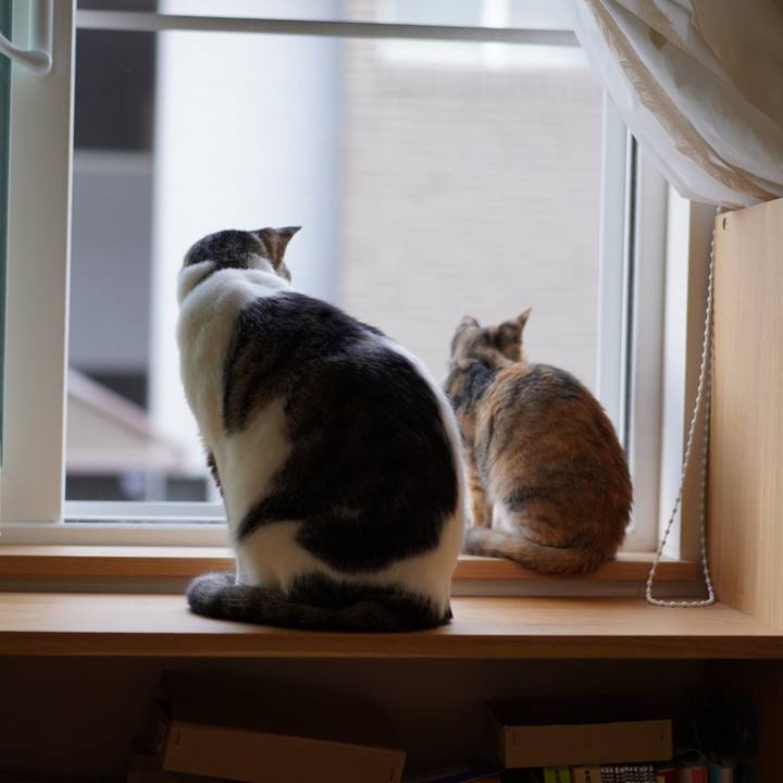 B75a529f 4ef0 4869 98b9 1c64d3f134c5 1574587486781