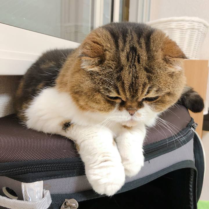 B75a5ac4 3270 45a8 8cc7 4b309c42b5df 1592137423859