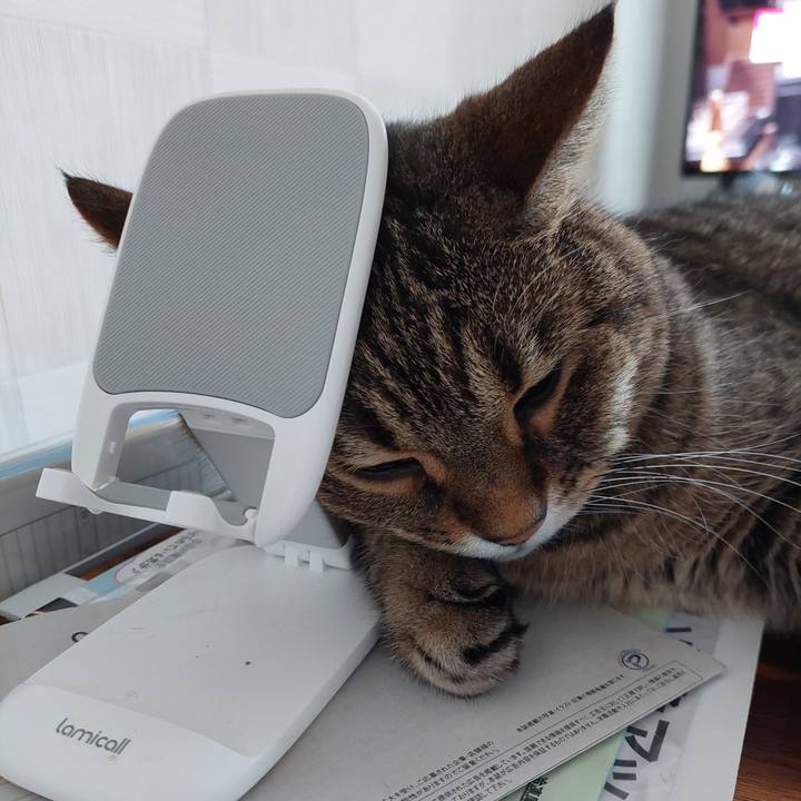 B75a6616 023f 4d4b 81ac fa389805e260 1692496398188