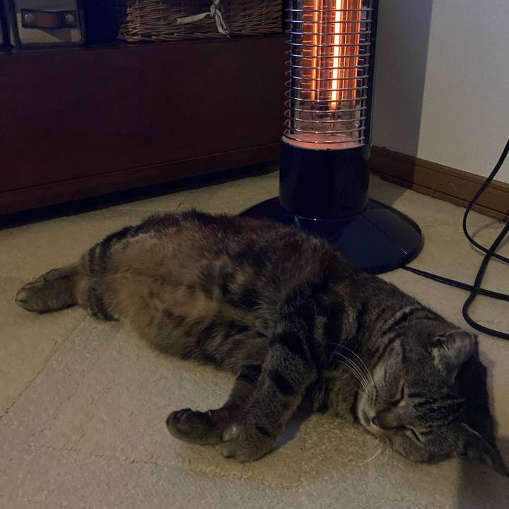 B75a76bd 7bde 4920 af52 cc7693e838b2 1682423545716