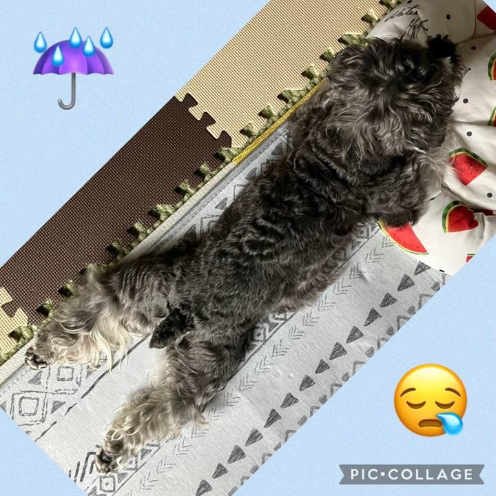 B75ad2c1 63a7 4a83 9c50 031fe521fee8 1749959247001