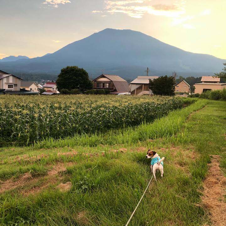 B75ad4ea 50a4 4eba aa2f 0ee350415752 1565176801065