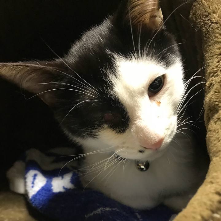 B75add2a 482b 4f58 8ec0 759249aef338 1513431241255