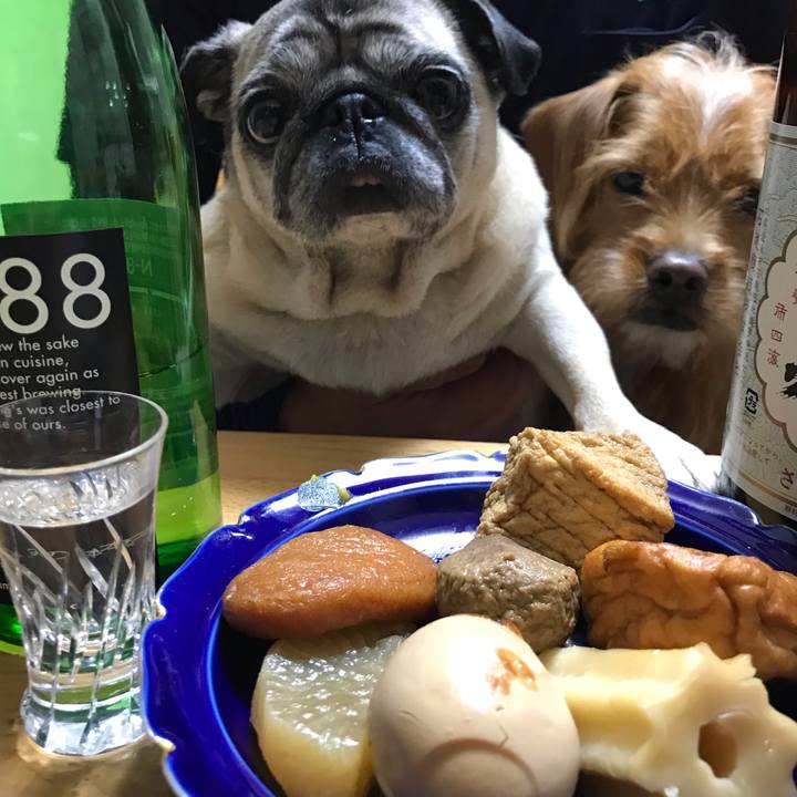 B75aea3c 4c00 4cfc a091 a7768fc86983 1543235218709