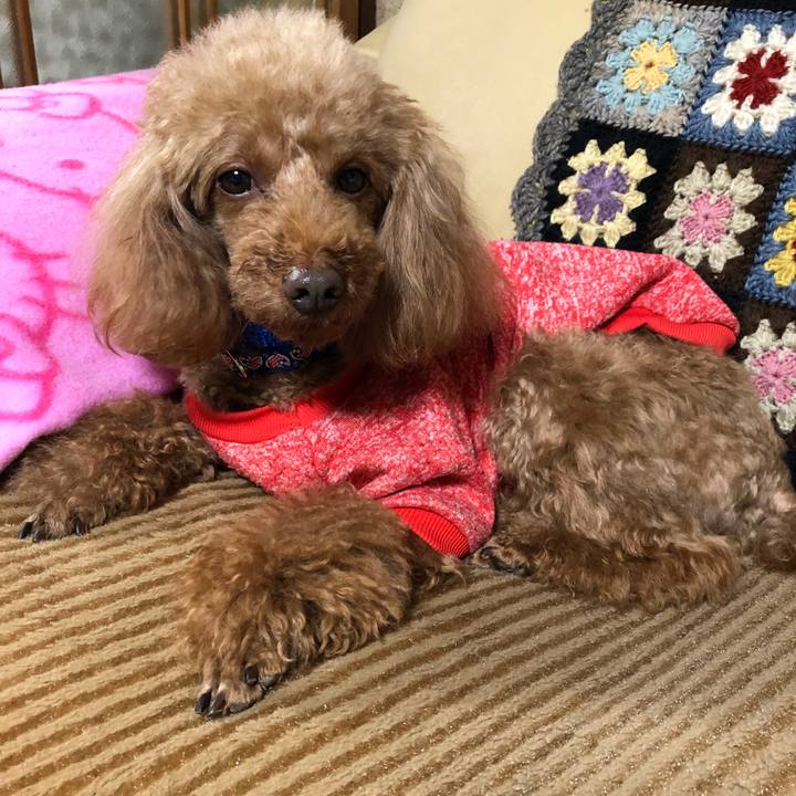 B75b0397 2437 494d 94c0 473a5926f264 1584192877016