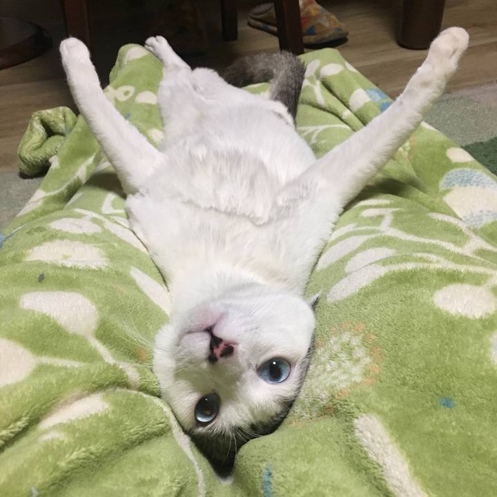 B75b0b59 c527 4dbe ae04 ff053f5486b6 1551493421182