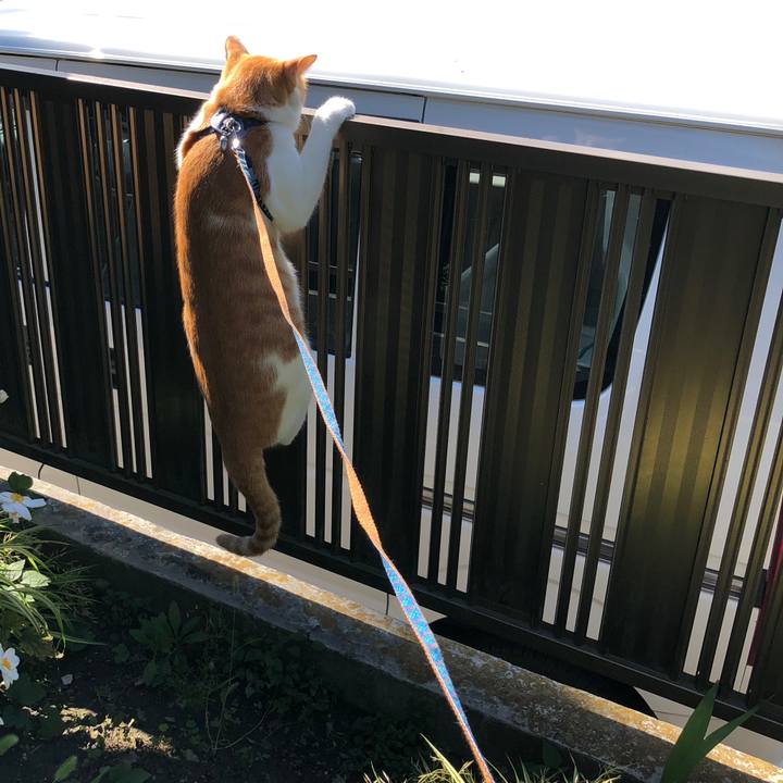 B75b18bd 38d9 4264 81c0 63b0cf6d4788 1538452826330