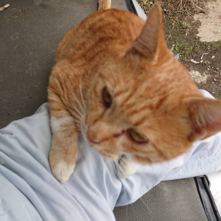 B75b3af2 d7bf 4192 8695 3793fbc8f20c 1571545088378