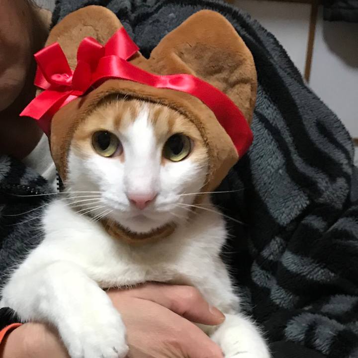 B75b3d7c d538 46e1 8d9e 772954d0ad65 1518606762680