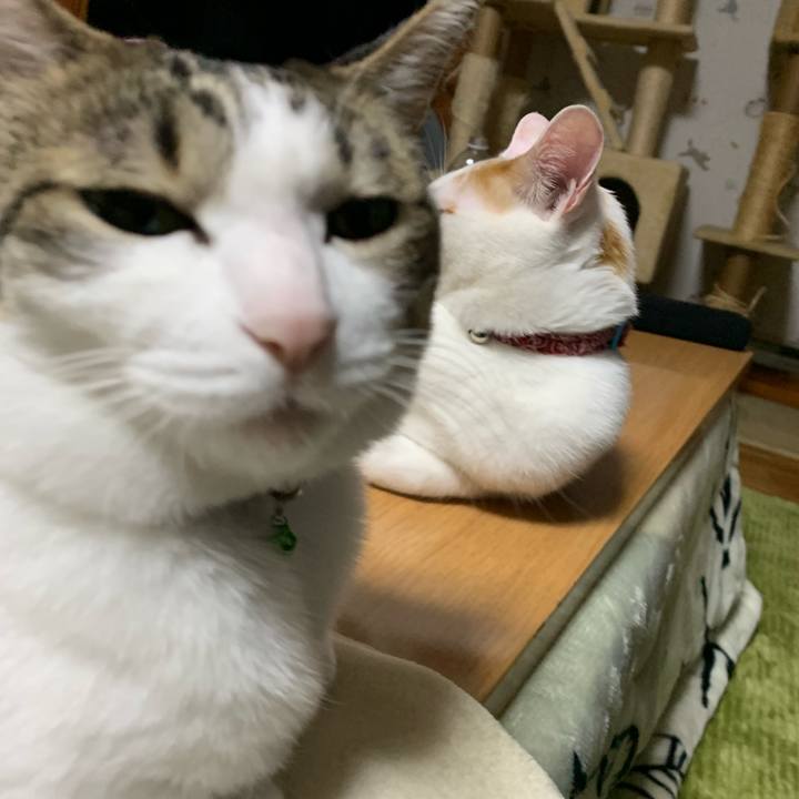 B75b4014 34b5 4d4e b770 08f54d6b7bda 1555340380841