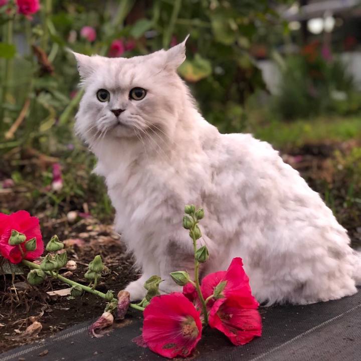 B75b4d24 bf50 4623 8213 111027be7d76 1624184428990