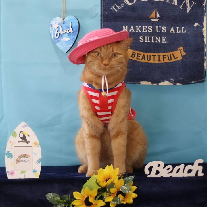 B75b503f ffb9 4f9e a8a2 72af9a6c9c03 1627744446786