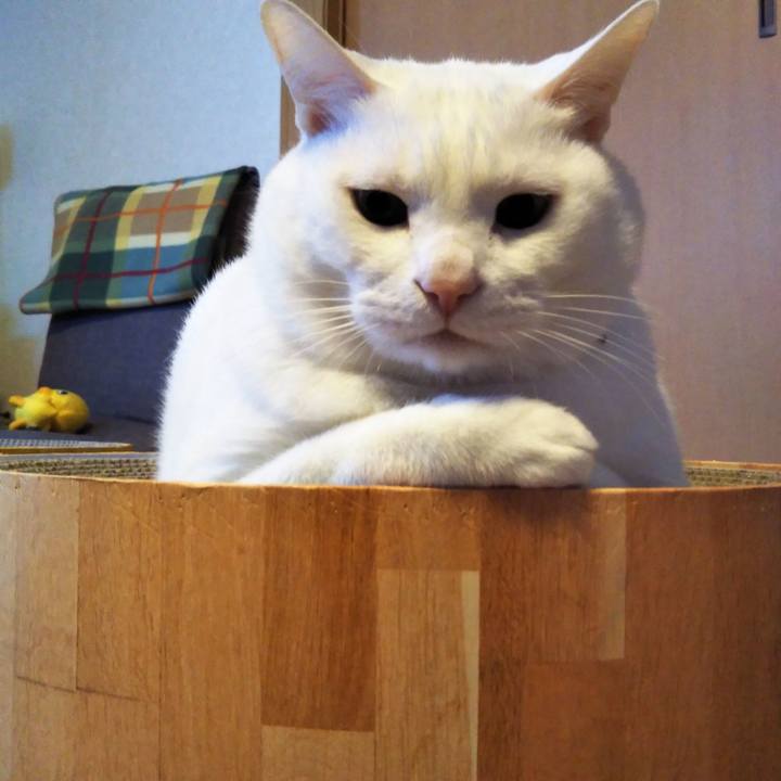 B75b9f34 044c 4ed2 80fb 081d521a0a7e 1615624829589