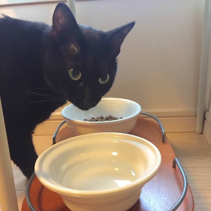 B75bd24b f0c0 4ce2 90ed 0deb5d5b663c 1512016889341