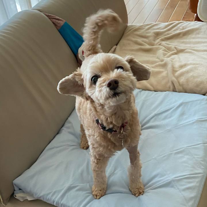 B75c075f 4dba 42f0 aa22 098173d5f904 1632807946198